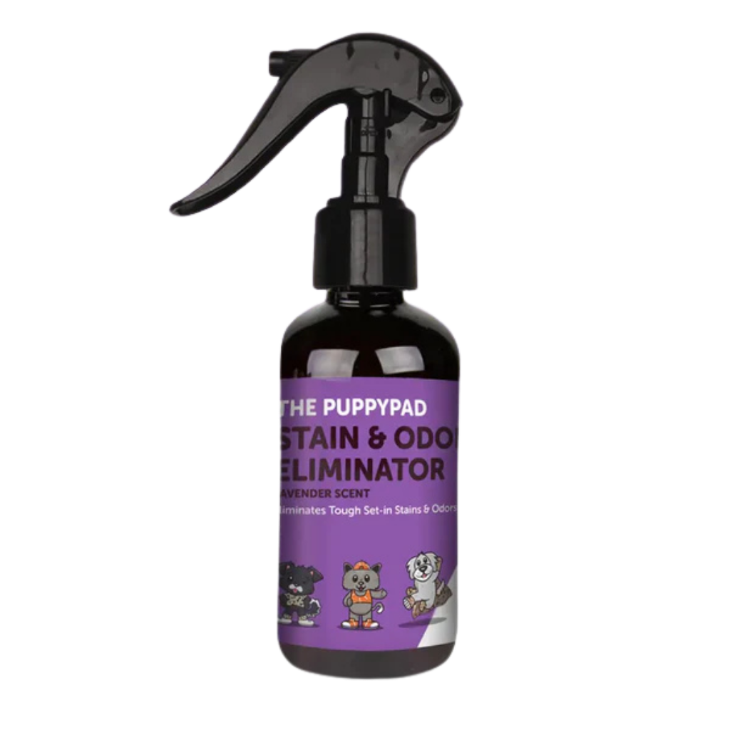 FREE Stain & Odor Eliminator